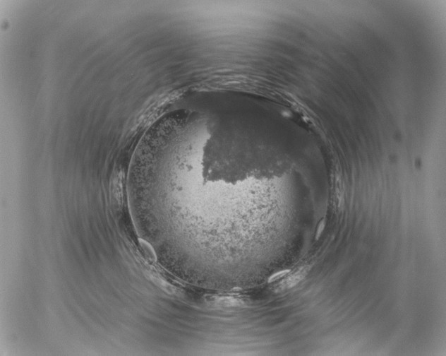 X0000056320475200509092307