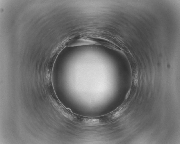 X0000056320476200509092307