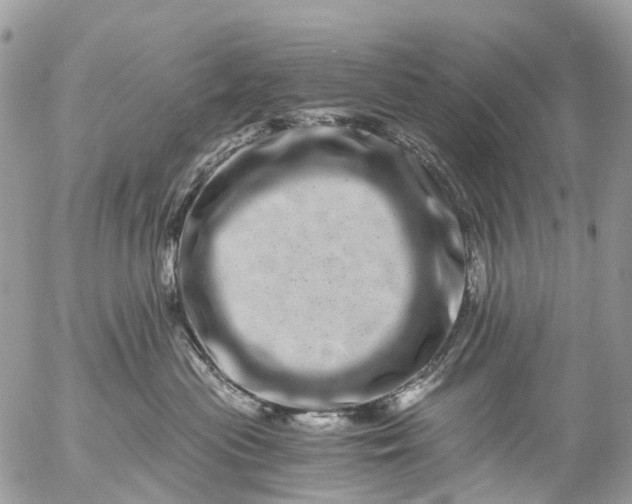 X0000056320477200509092307