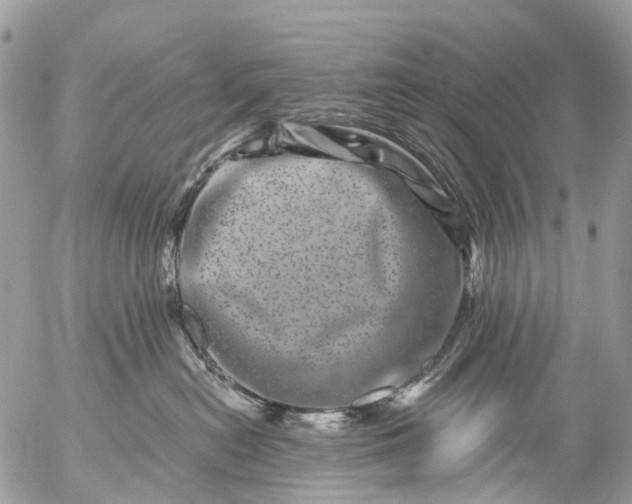 X0000056320478200509092307