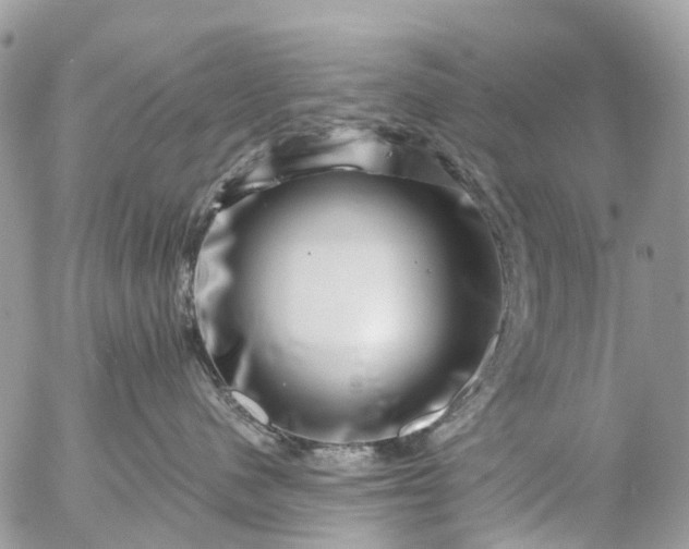 X0000056320480200509092307