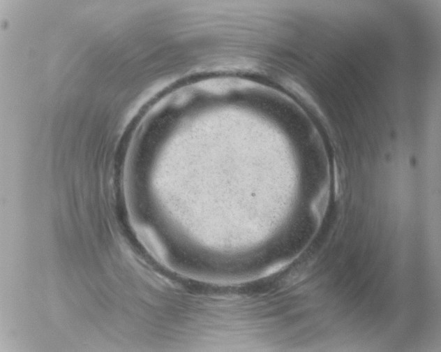 X0000056320483200509092306