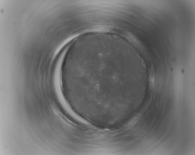 X0000056320484200509092306