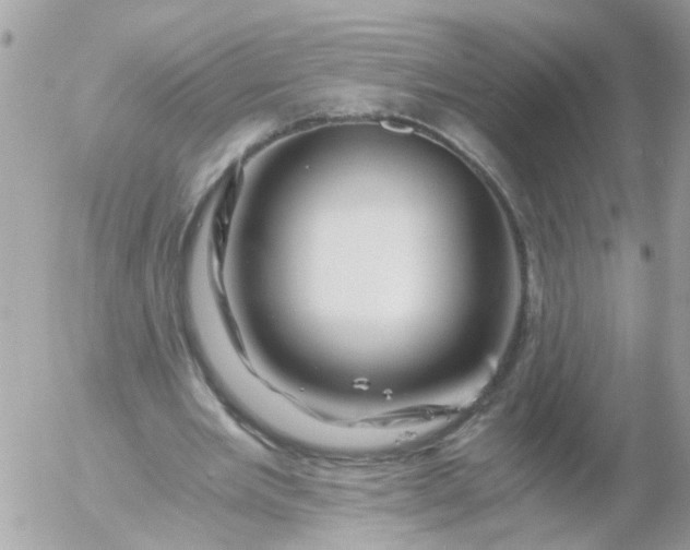 X0000056320485200509092306