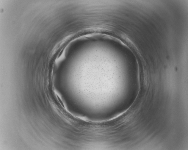 X0000056320486200509092306