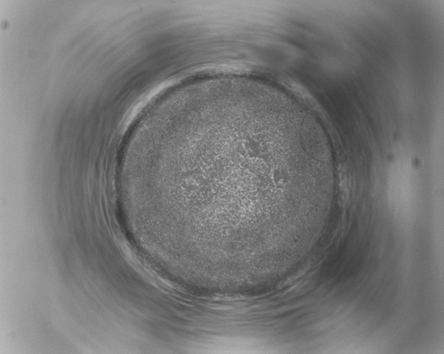 X0000056320487200509092306