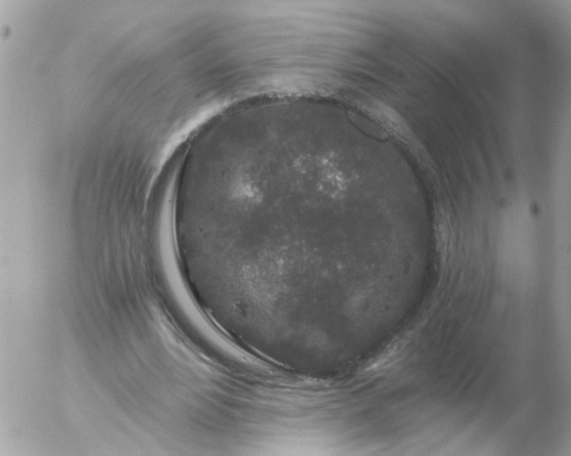 X0000056320488200509092306