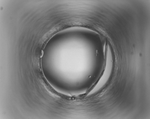 X0000056320489200509092306