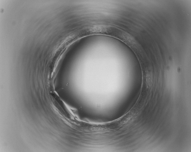 X0000056320490200509092306