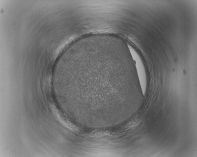 X0000056320491200509092306