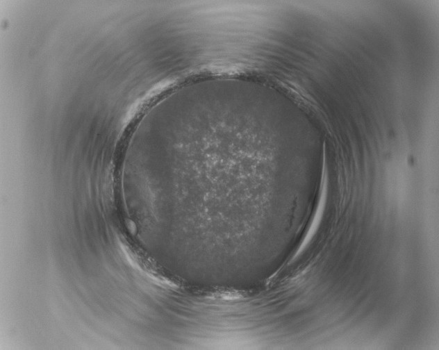 X0000056320492200509092306