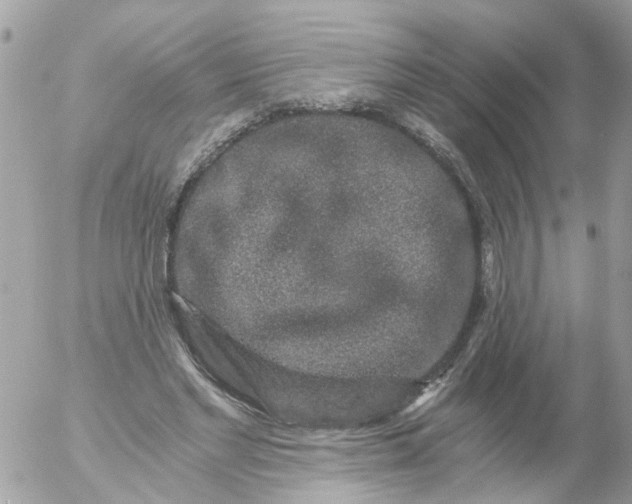 X0000056320493200509092306