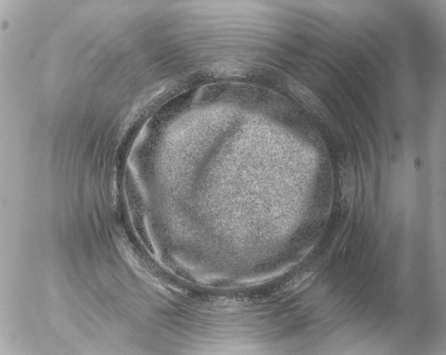 X0000056320494200509092306