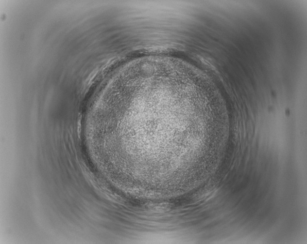 X0000056320495200509092306