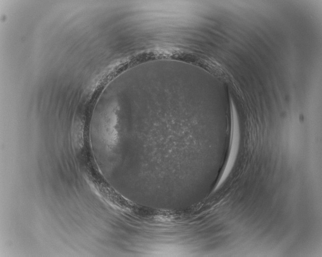 X0000056320496200509092306