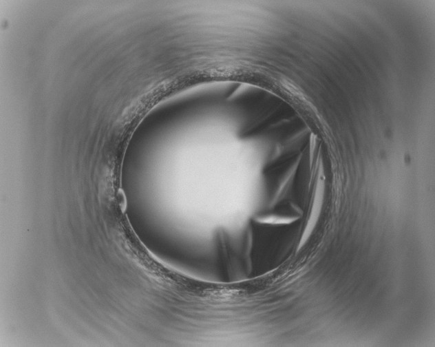 X0000056320497200509092306