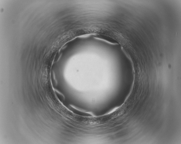 X0000056320498200509092306