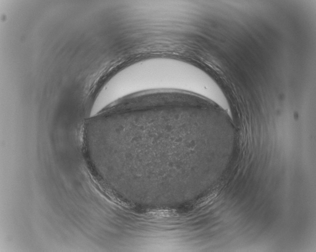 X0000056320499200509092306