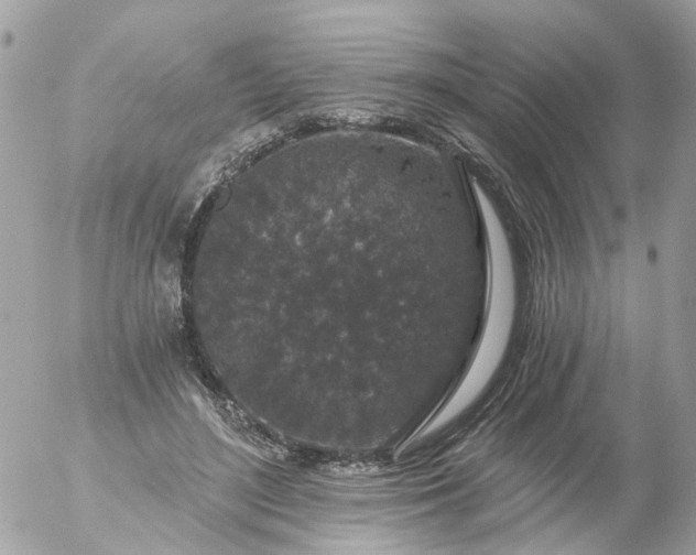 X0000056320500200509092306