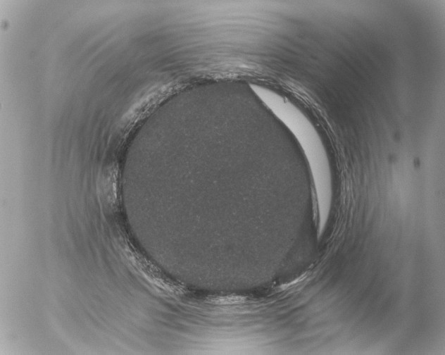 X0000056320501200509092306