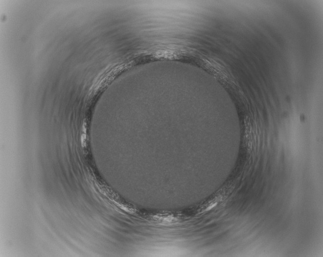 X0000056320502200509092306