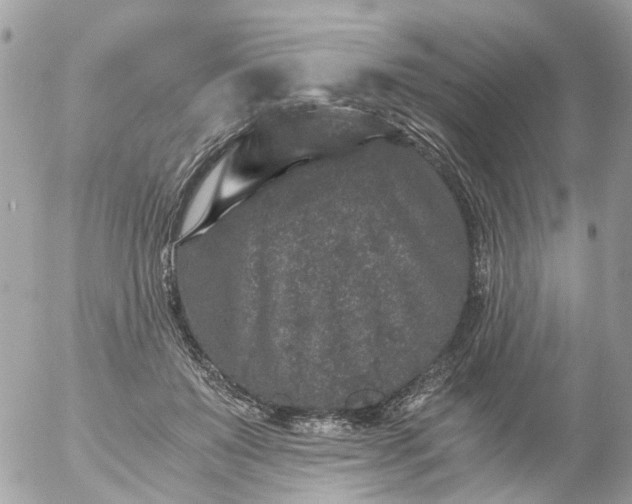 X0000056320503200509092306