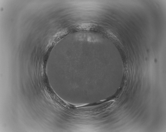 X0000056320504200509092306