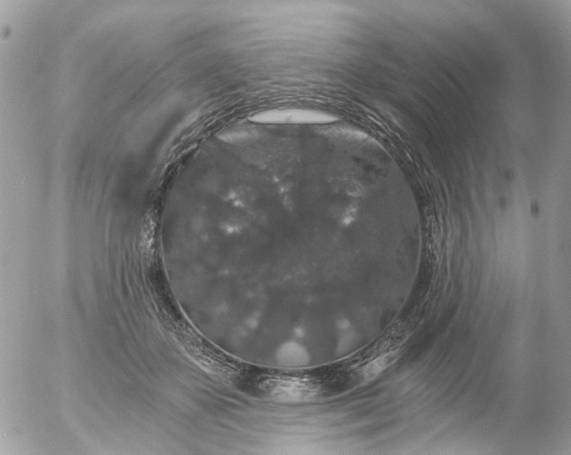 X0000056320507200509092306