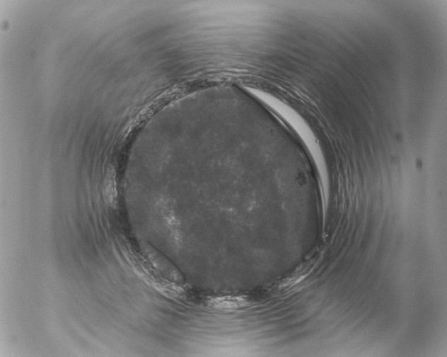 X0000056320508200509092306