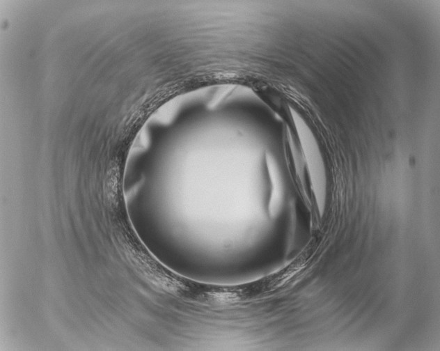 X0000056320509200509092306