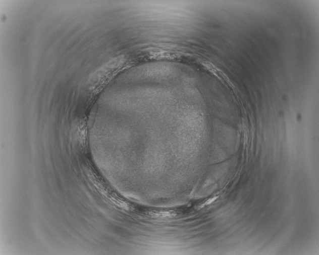 X0000056320513200509092306