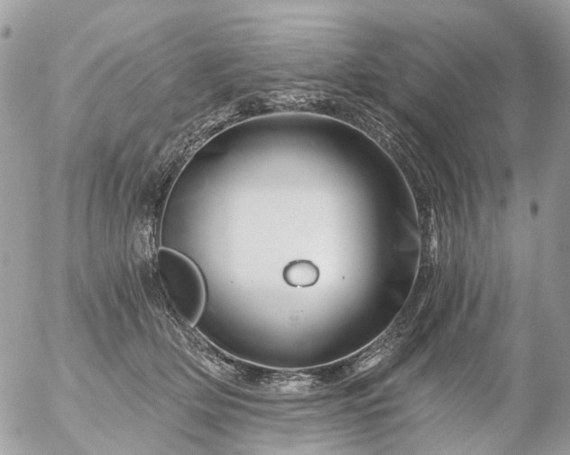 X0000056320514200509092306