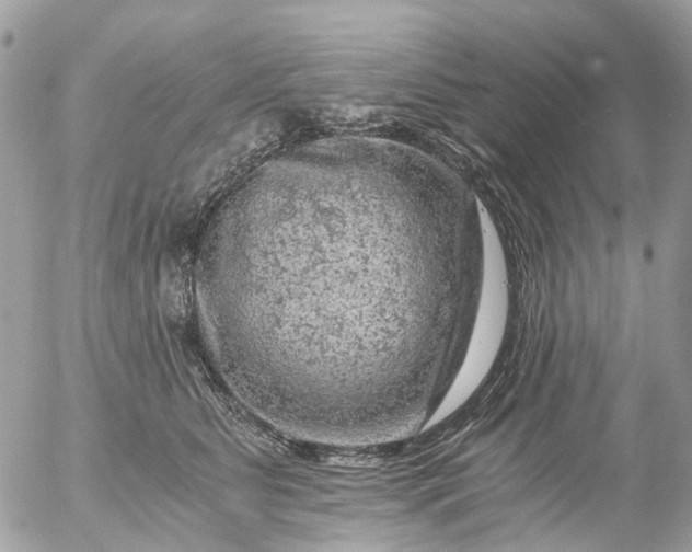 X0000056320515200509092306