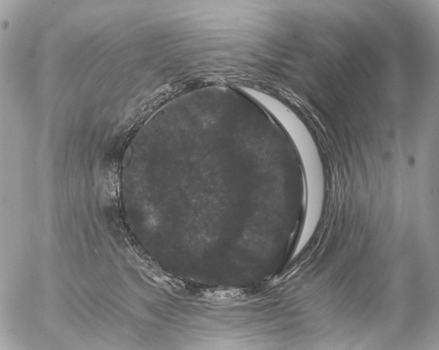 X0000056320517200509092306