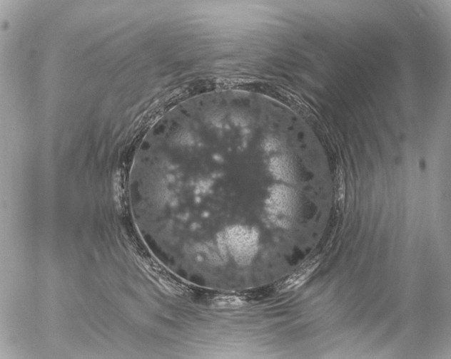 X0000056320519200509092306