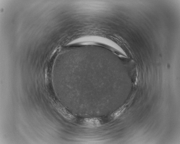 X0000056320520200509092306