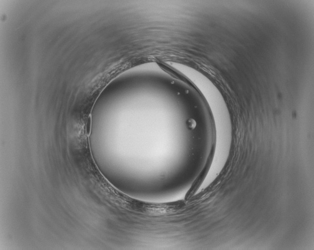 X0000056320521200509092306