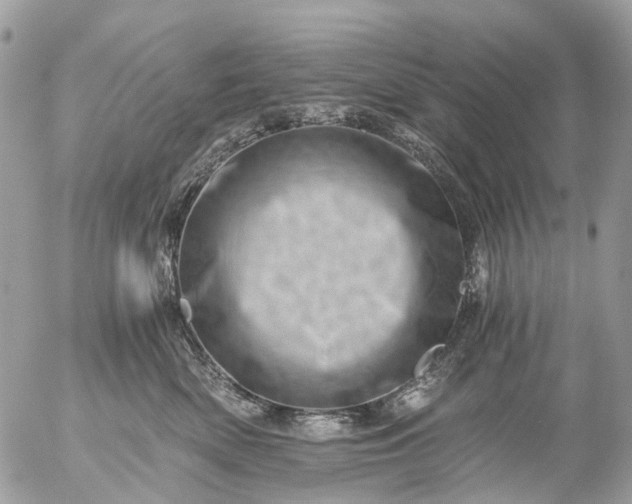 X0000056320522200509092306