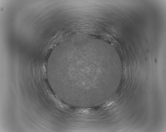 X0000056320523200509092306