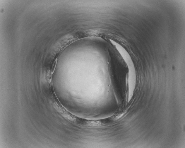 X0000056320525200509092306