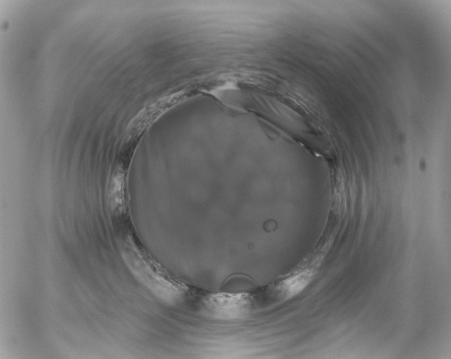 X0000056320526200509092306