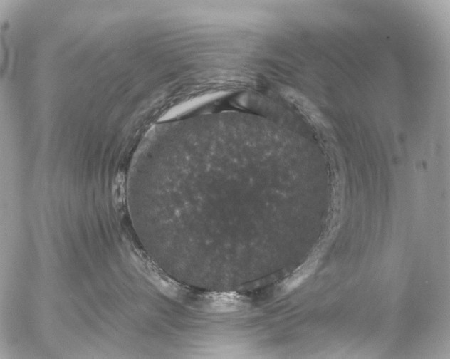 X0000056320528200509092306