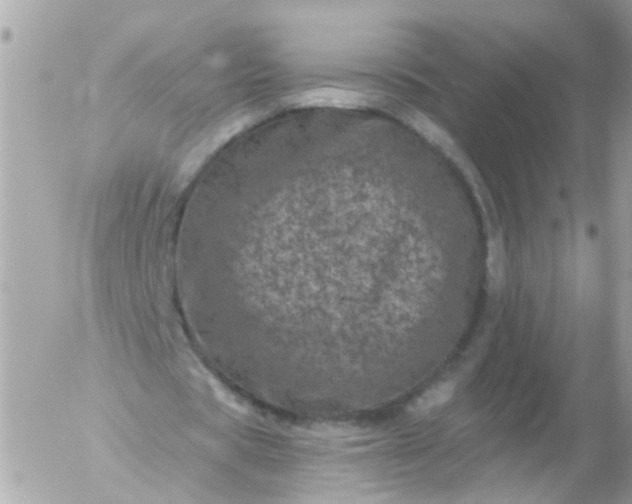 X0000056320529200509092305