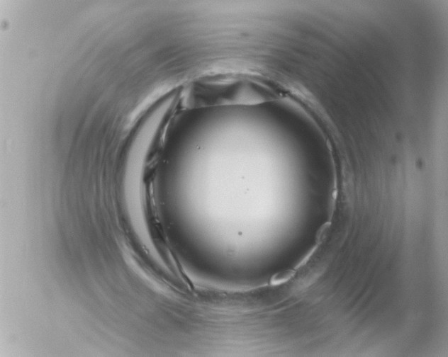 X0000056320530200509092305