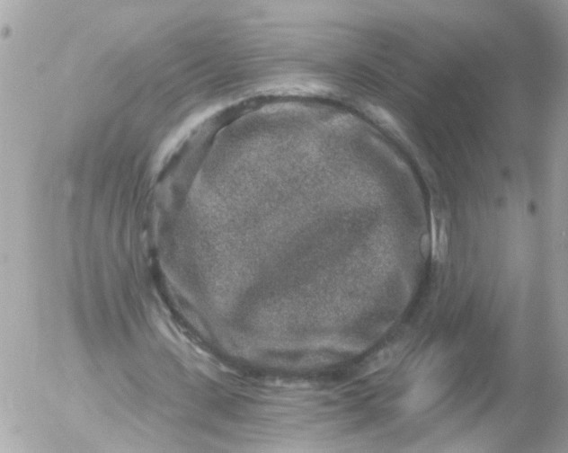 X0000056320531200509092305