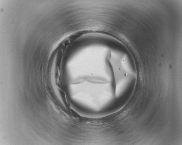 X0000056320532200509092305