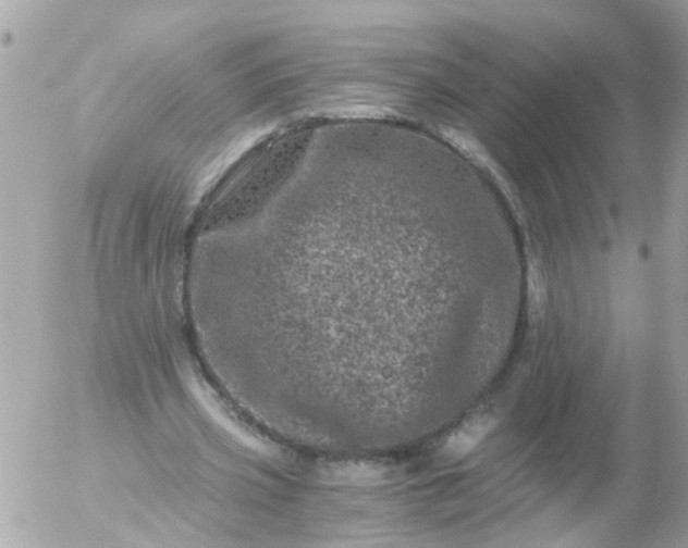 X0000056320533200509092305