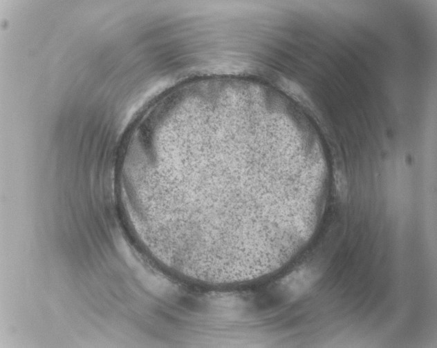 X0000056320534200509092305