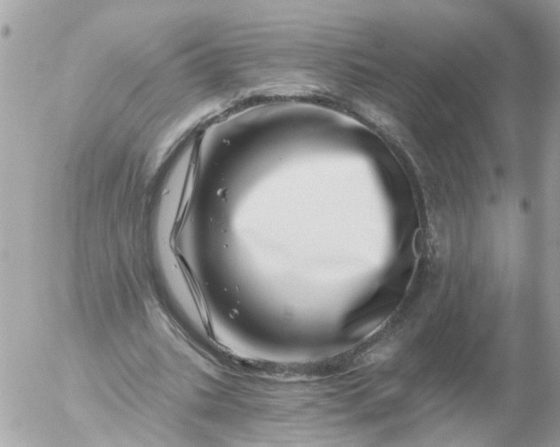 X0000056320535200509092305