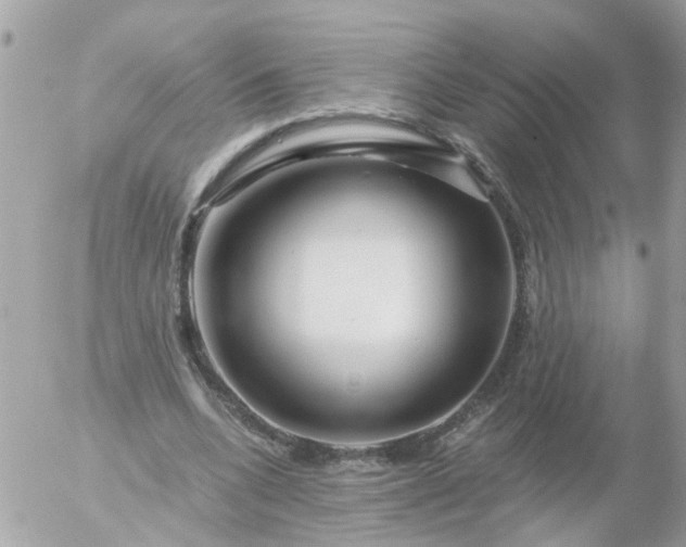 X0000056320536200509092305